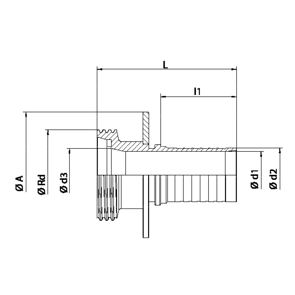 FLEXILINE - Raccordo DIN 11851 a portagomma femmina (Disegno tecnico)