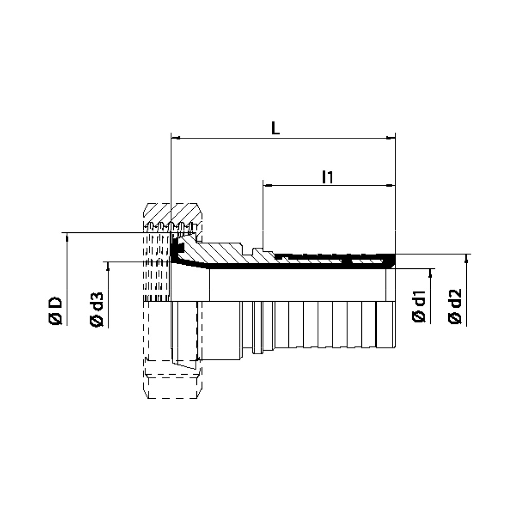 FLEXILINE - Raccordo DIN 11851 a portagomma maschio rivestito (Disegno tecnico)