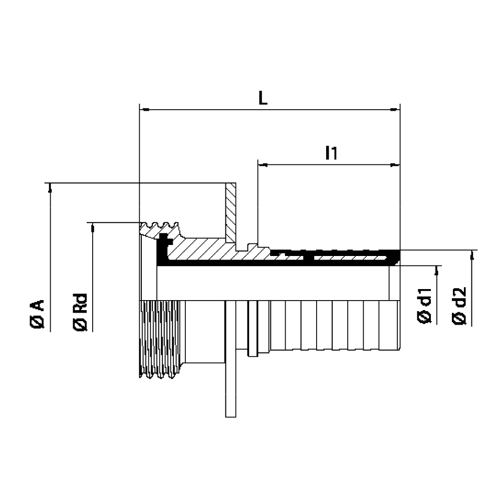 FLEXILINE - Raccordo SMS 1145 a portagomma femmina rivestito con protezione (Disegno tecnico)