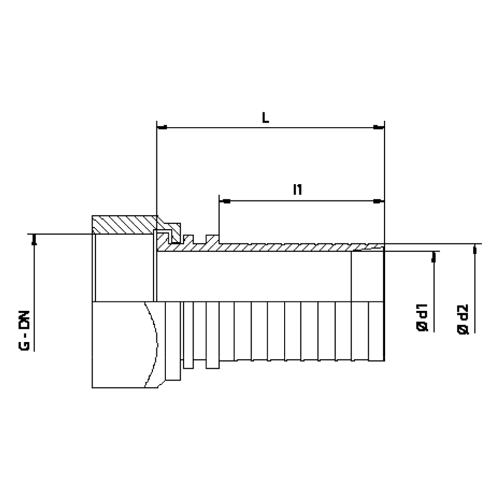 FLEXILINE - Raccordo filettato BSP/GAS a portagomma femmina (Disegno tecnico)