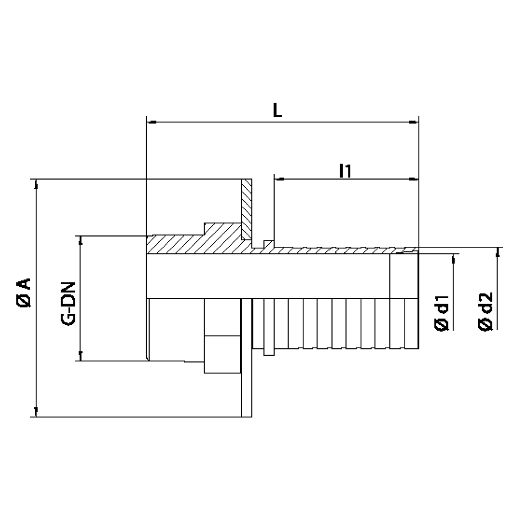 FLEXILINE - Raccordo filettato BSP/GAS a portagomma maschio con protezione (Disegno tecnico)